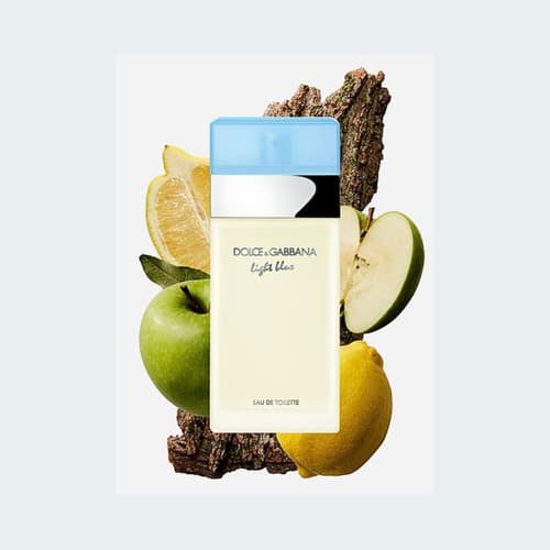 Perfume Dolce & Gabbana Light Blue EDT 100ml